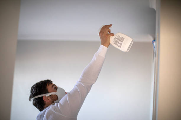 Best Mold Damage Repair  in Harrisville, PA