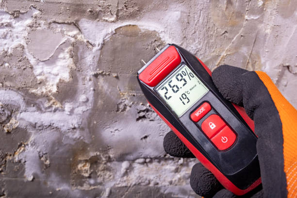 Best Professional Mold Removal  in Harrisville, PA