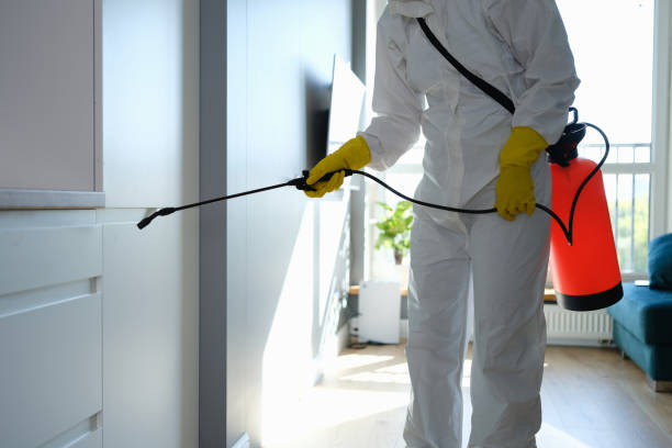 Best Same-Day Mold Removal  in Harrisville, PA