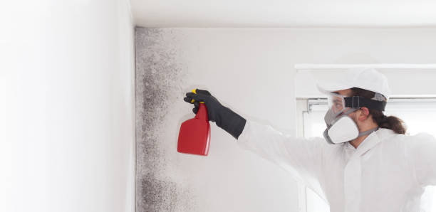 Best Crawl Space Mold Removal  in Harrisville, PA