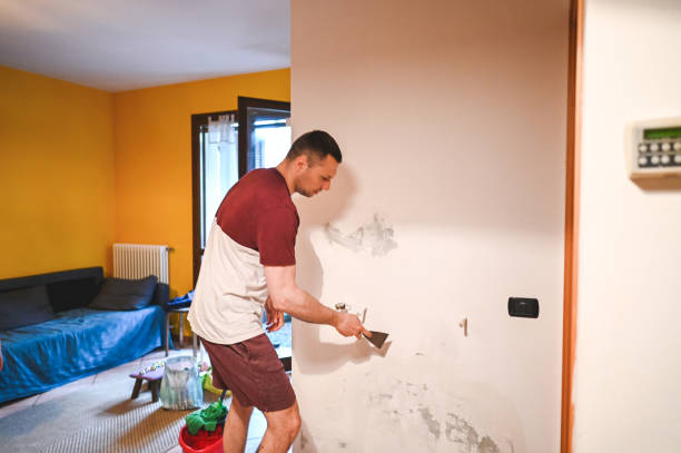 Best Local Mold Removal Service  in Harrisville, PA