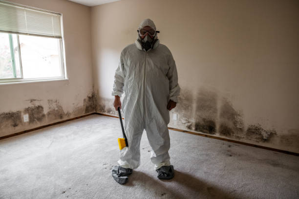 Best Mold Removal Process  in Harrisville, PA