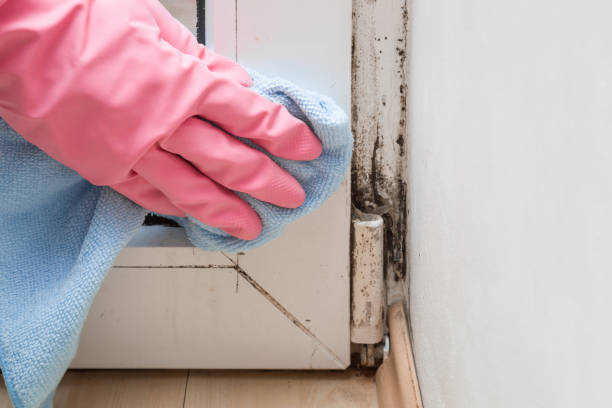 Best Mold Testing  in Harrisville, PA